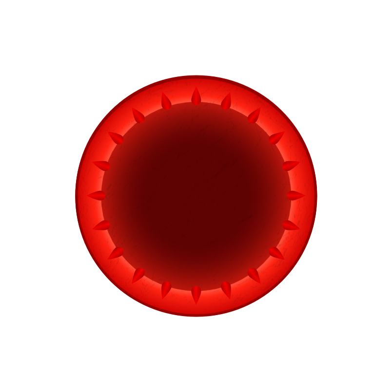 Watch Bezel
